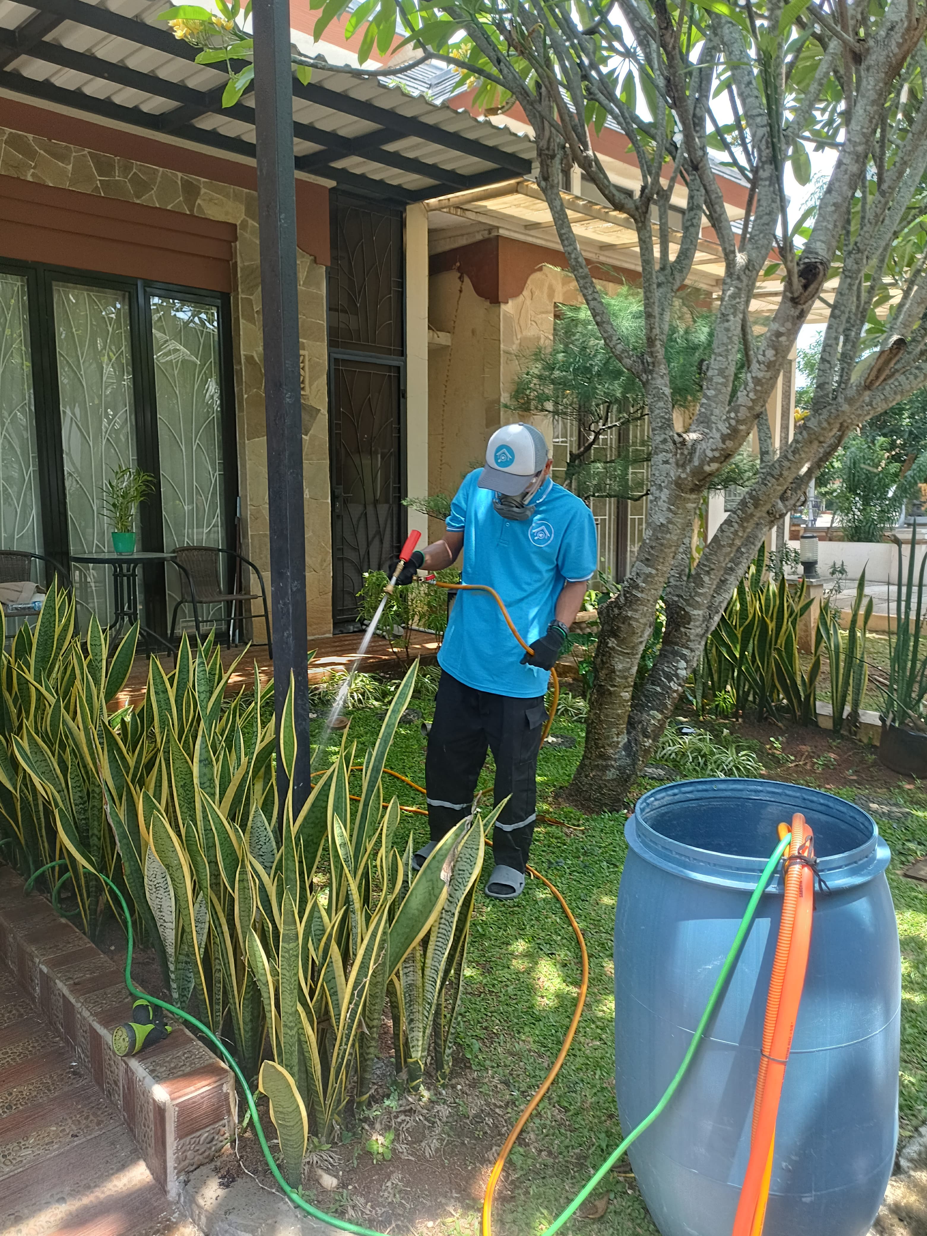 Pictures of Termite Control